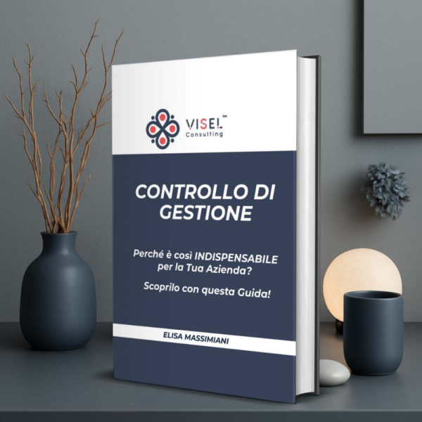 E-Book | Controllo di Gestione